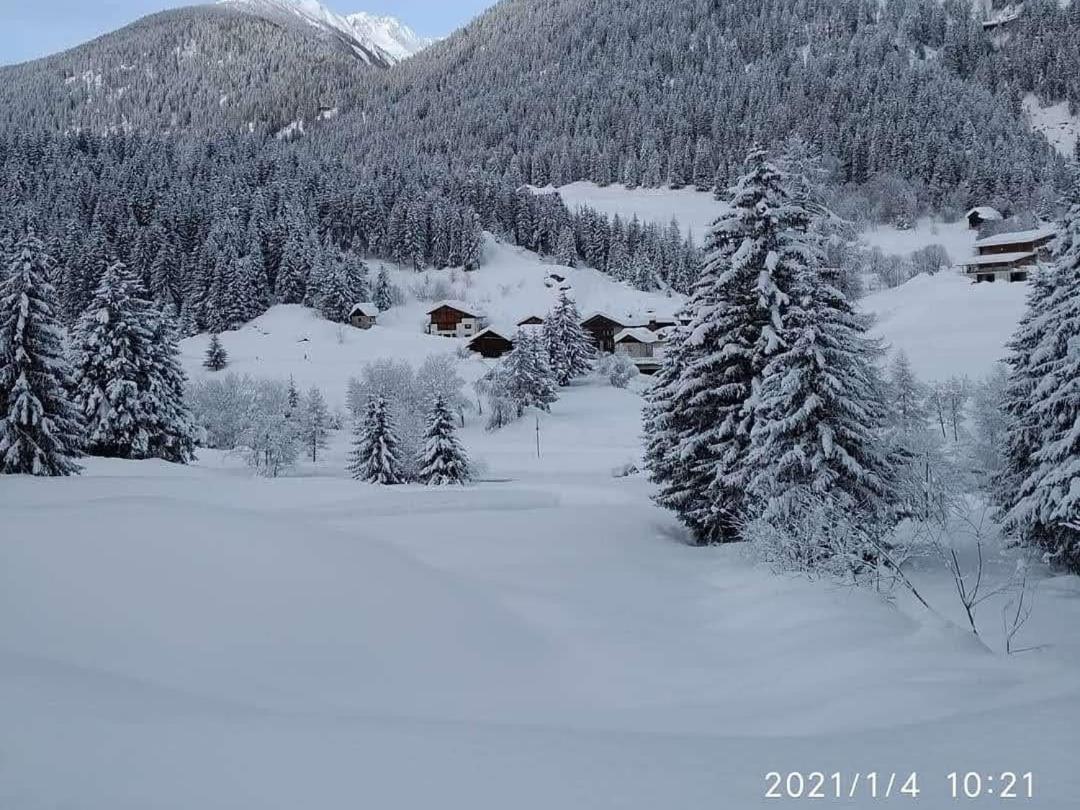 Appartamenti Presanella Vermiglio Esterno foto