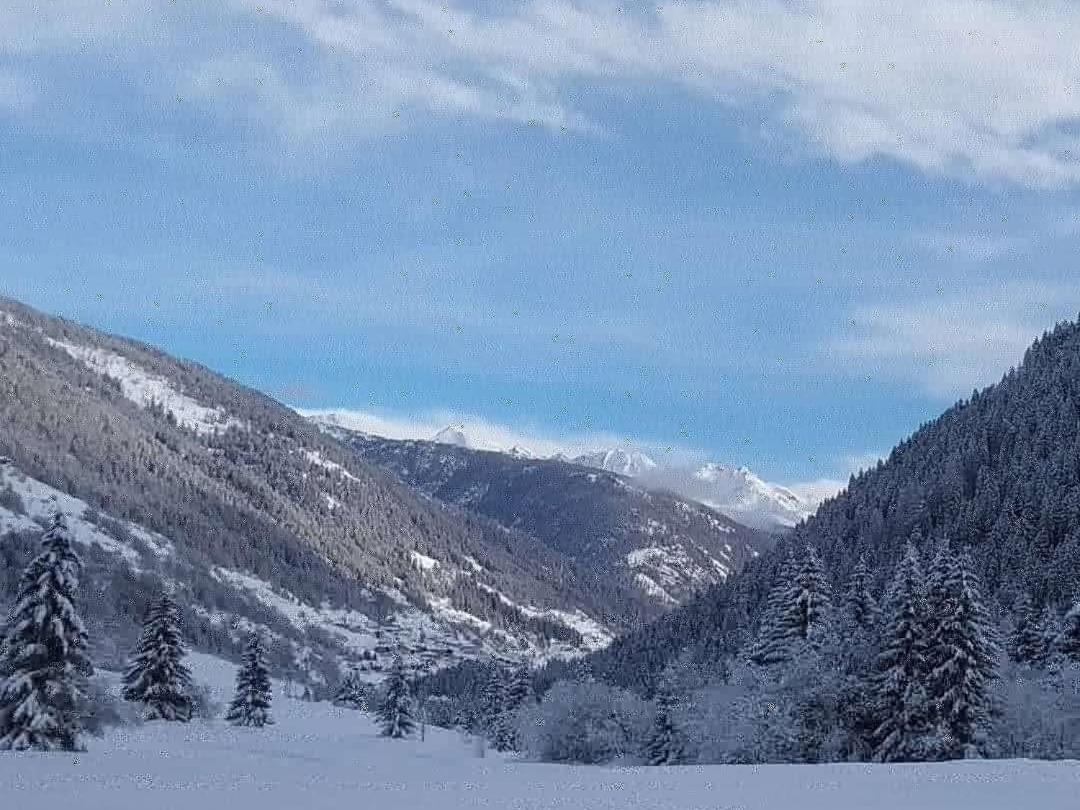 Appartamenti Presanella Vermiglio Esterno foto